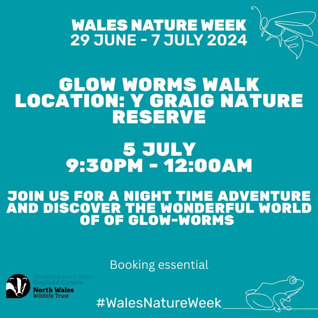 Glow worms walk